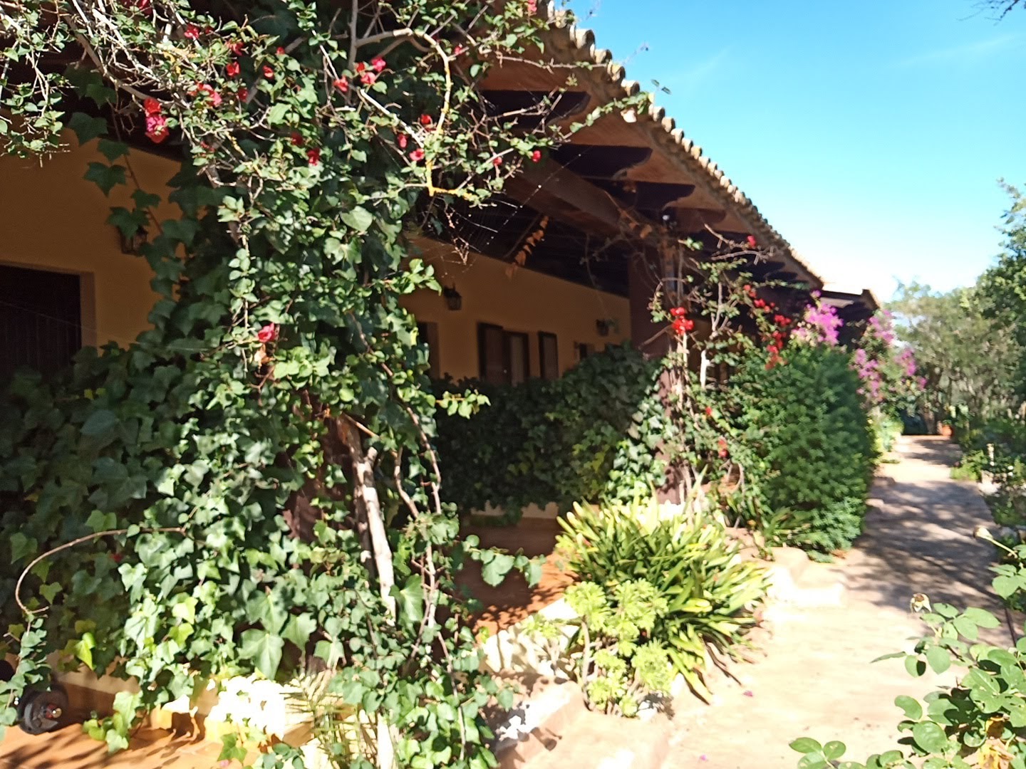 finca-hotel-mallorca-aussen-9