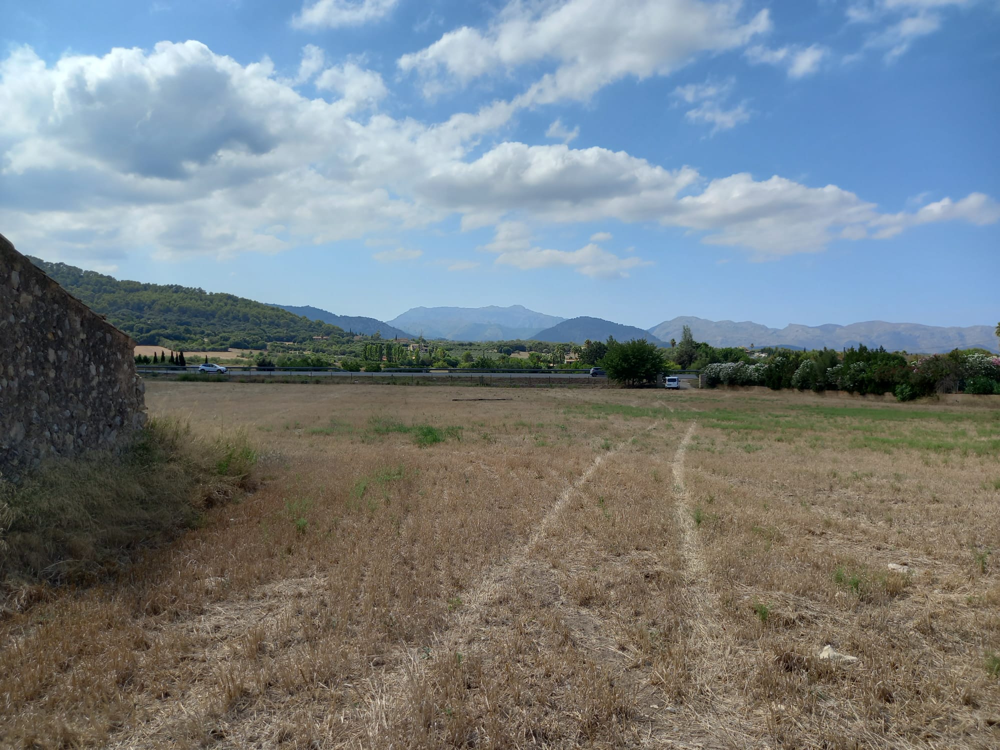 Grundstück bei Alcudia (7)