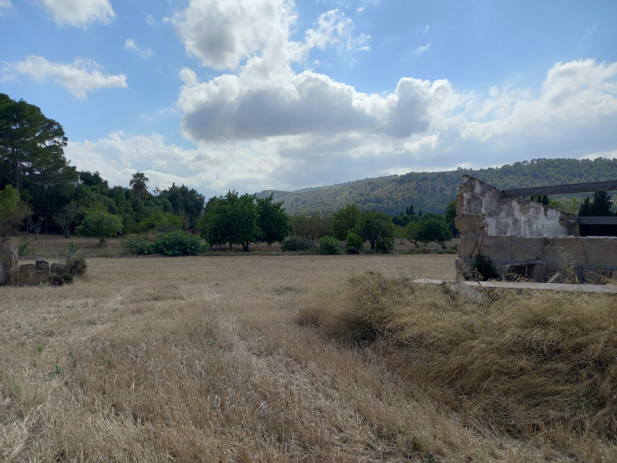 Grundstück bei Alcudia (6)