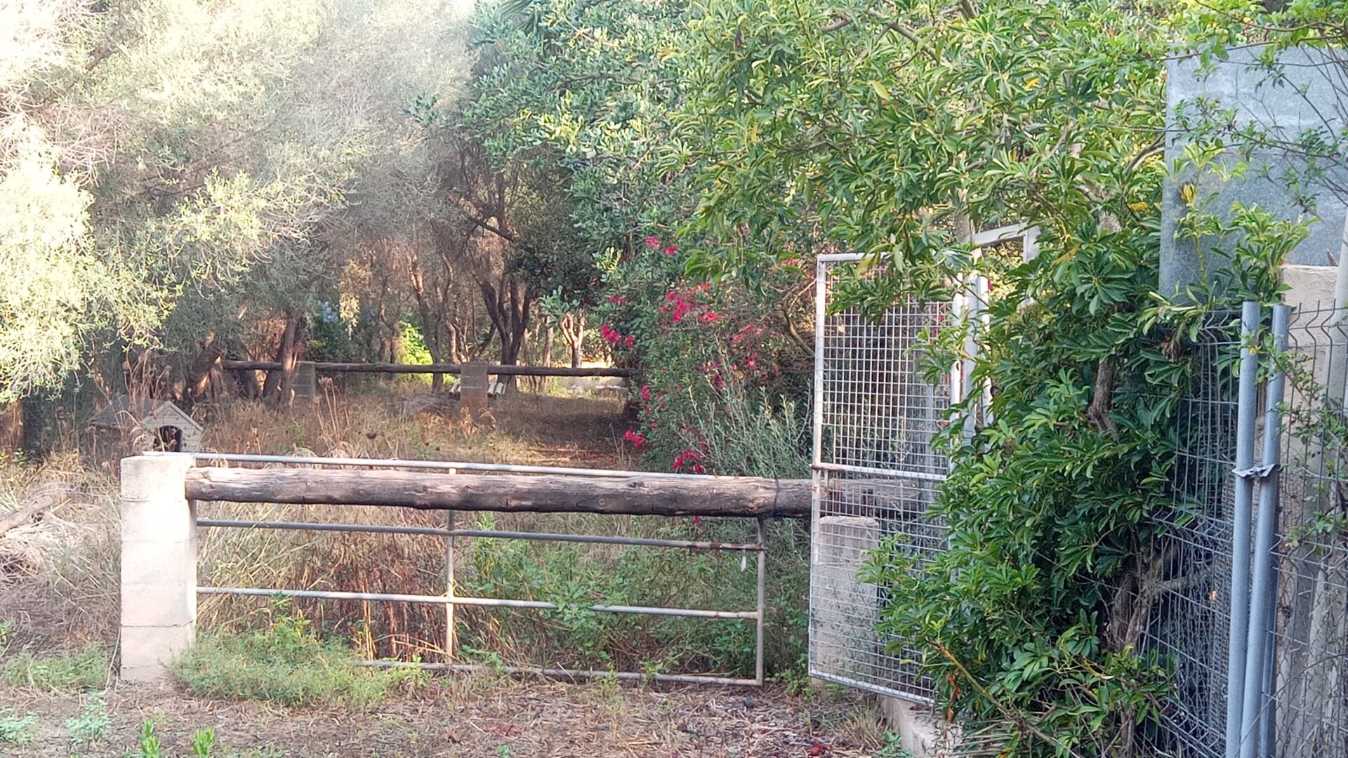 rustikale-finca-pollensa (3)