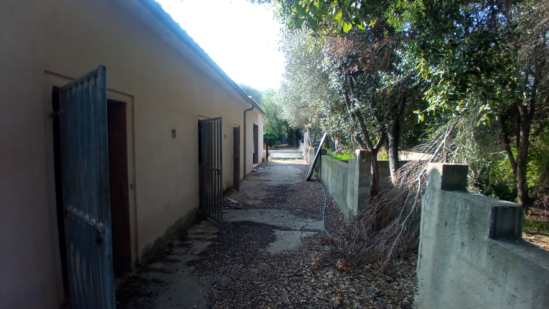 rustikale-finca-pollensa (14)