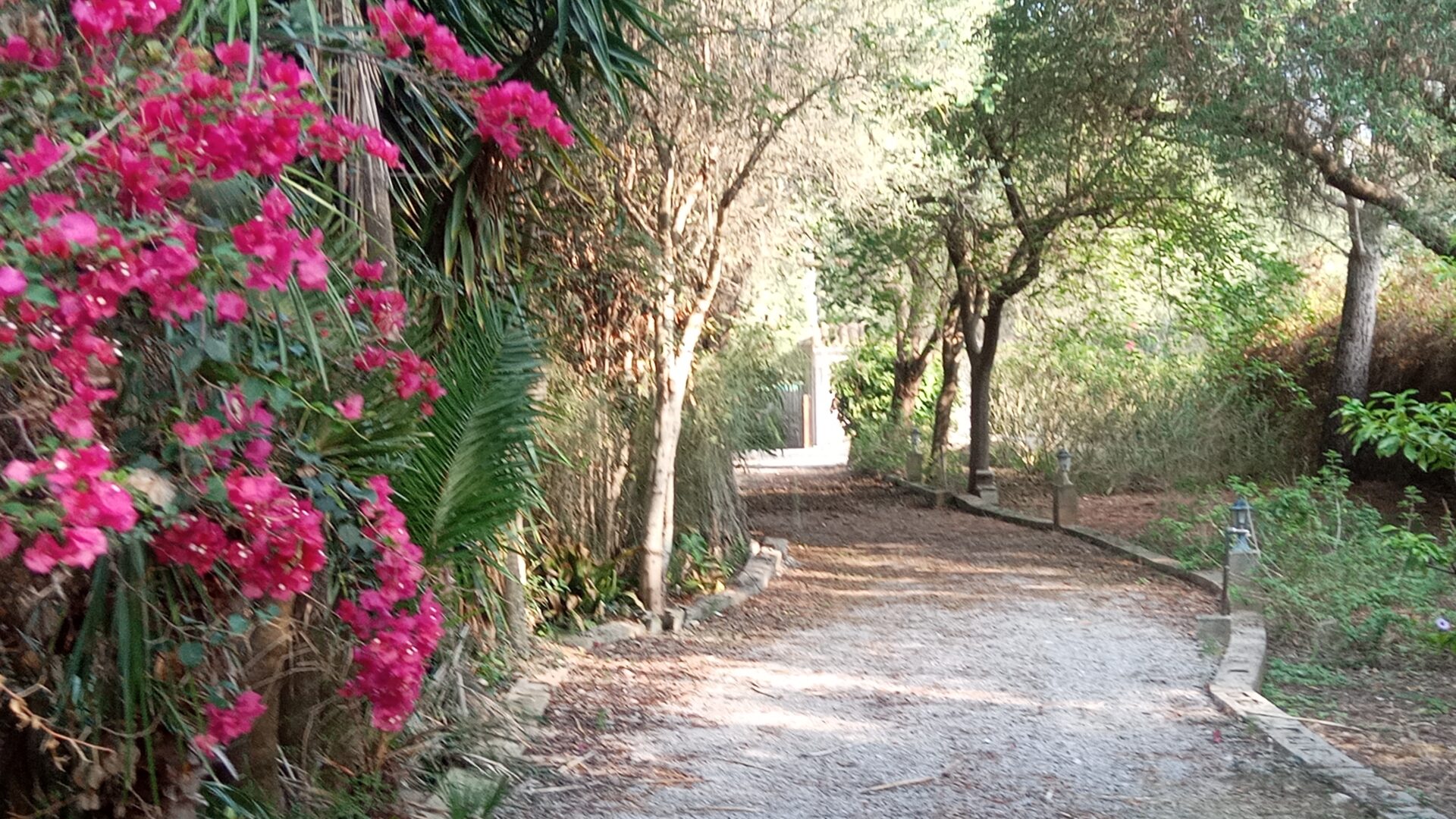 rustikale-finca-pollensa (4)