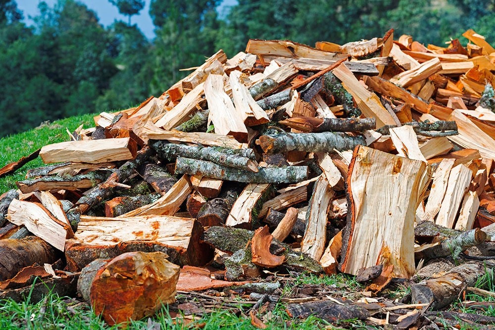 quand-sécher-du-bois-de-chauffage