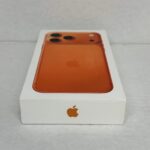 apple1